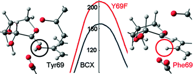 Graphical abstract: Mechanism of glycoside hydrolysis: A comparative QM/MM molecular dynamics analysis for wild type and Y69F mutant retaining xylanases