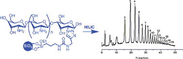 Graphical abstract: A novel click chitooligosaccharide for hydrophilic interaction liquid chromatography