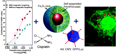 Graphical abstract: Multifunctional core–shell magnetic cisplatin nanocarriers