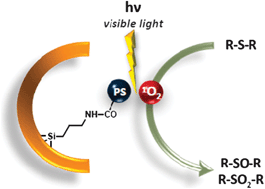 Graphical abstract: Hybrid functional mesostructured thin films with photo-oxidative properties in the visible range