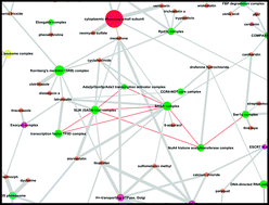 Graphical abstract: High-confidence mapping of chemical compounds and protein complexes reveals novel aspects of chemical stress response in yeast