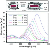 Graphical abstract: Selective etching of gold nanorods by ferric chloride at room temperature