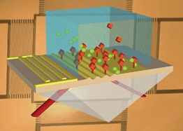 Graphical abstract: Integrated active mixing and biosensing using surface acoustic waves (SAW) and surface plasmon resonance (SPR) on a common substrate