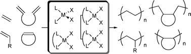 Graphical abstract: Recent progress in olefin polymerization catalyzed by transition metal complexes: new catalysts and new reactions