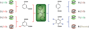 Graphical abstract: Multifarious ZnII and CdII coordination frameworks constructed by a versatile trans-1-(2-pyridyl)-2-(4-pyridyl)ethylene tecton and various benzenedicarboxyl ligands