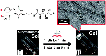 Graphical abstract: Shear-assisted hydrogels based on self-assembly of cyclic dipeptide derivatives