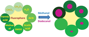 Graphical abstract: The environmental effect on the fluorescence intensity in solution. An analytical model