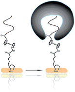 Graphical abstract: Electrochemical probing of HIV enzymes using ferrocene-conjugated peptides on surfaces