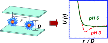 Graphical abstract: Tunable attractive and repulsive interactions between pH-responsive microgels