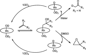 Graphical abstract: Reactivity and kinetic–mechanistic studies of regioselective reactions of rhodium porphyrins with unactivated olefins in water that form β-hydroxyalkyl complexes and conversion to ketones and epoxides