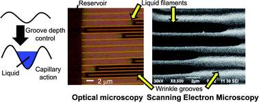 Graphical abstract: Shaping liquid on a micrometre scale using microwrinkles as deformable open channel capillaries