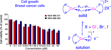 Graphical abstract: 1 : 2 Adducts of copper(i) halides with 1,2-bis(di-2-pyridylphosphino)ethane: solid state and solution structural studies and antitumour activity