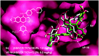 Graphical abstract: Novel 4β-anilino-podophyllotoxin derivatives: design synthesis and biological evaluation as potent DNA-topoisomerase II poisons and anti-MDR agents