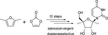 Graphical abstract: Diastereoselective synthesis of (±)-1′,4′-dimethyluridine