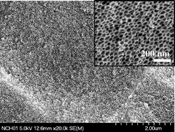 Graphical abstract: Highly selective incorporation of SiO2nanoparticles in PS-b-P2VP block copolymers by quaternization