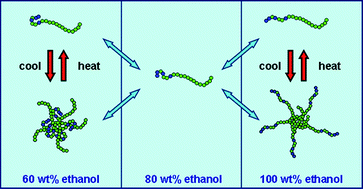 Graphical abstract: A schizophrenic gradient copolymer: switching and reversing poly(2-oxazoline) micelles based on UCST and subtle solvent changes