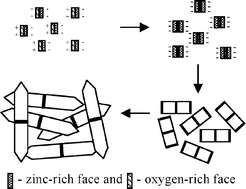 Graphical abstract: Microwave-assisted synthesis of ZnO micro-javelins