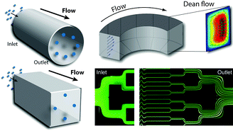 Graphical abstract: Inertial microfluidics
