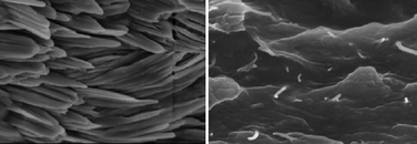 Graphical abstract: Facile fabrication of polyelectrolyte complex/carbon nanotube nanocomposites with improved mechanical properties and ultra-high separation performance