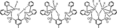 Graphical abstract: Coordinative flexibility in an acyclic bis(sulfonamide) ligand