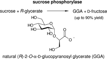 Graphical abstract: Single-step enzymatic synthesis of (R)-2-O-α-d-glucopyranosyl glycerate, a compatible solute from micro-organisms that functions as a protein stabiliser