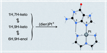 Graphical abstract: Pt(ii) complexes of unsubstituted guanine and 7-methylguanine