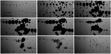 Graphical abstract: Cavitation activation by dual-frequency ultrasound and shock waves