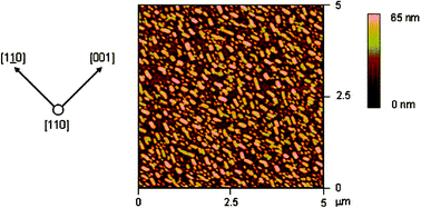 Graphical abstract: Role of the substrate in electronic structure, molecular orientation, and morphology of organic thin films: diindenoperylene on rutile TiO2(110)