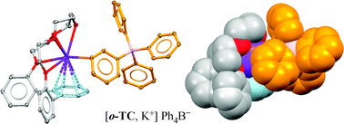 Graphical abstract: Terphenyl crowns: a new family of receptors containing ethereal canopies that direct potassium cation onto benzenoid platforms for cation–π interactions