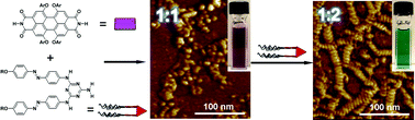 Graphical abstract: Unconventional hydrogen-bond-directed hierarchical co-assembly between perylene bisimide and azobenzene-functionalized melamine