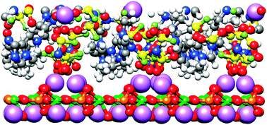 Graphical abstract: A molecular dynamics simulation study of LiFePO4/electrolyte interfaces: structure and Li+ transport in carbonate and ionic liquid electrolytes