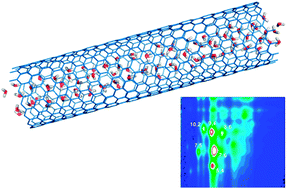 Graphical abstract: Influence of endohedral water on diameter sorting of single-walled carbon nanotubes by density gradient centrifugation