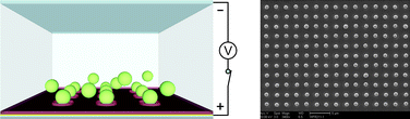 Graphical abstract: Electric field directed assembly of high-density microbead arrays