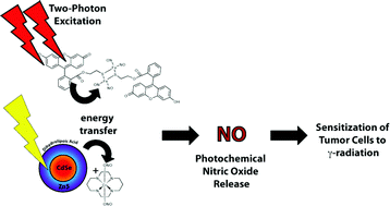 Graphical abstract: Metal complexes as photochemical nitric oxide precursors: Potential applications in the treatment of tumors