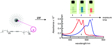 Graphical abstract: Spectroscopical properties of organic/metal nanohybrids