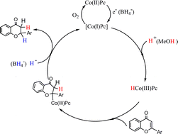 Graphical abstract: Efficient cobalt(ii) phthalocyanine-catalyzed reduction of flavones with sodium borohydride