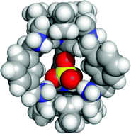 Graphical abstract: Selective recognition of tetrahedral dianions by a hexaaza cryptand receptor