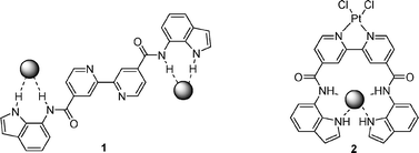 Graphical abstract: Metal-induced pre-organisation for anion recognition in a neutral platinum-containing receptor