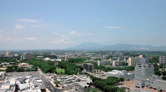 Graphical abstract: 2008 Third Asia-Pacific Winter Conference on Plasma Spectrochemistry, Tsukuba, Japan, November 16–21