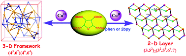 Graphical abstract: Metal–organic coordination polymers based on a flexible tetrahydrofuran-2,3,4,5-tetracarboxylate ligand: syntheses, crystal structures, and magnetic/photoluminescent properties