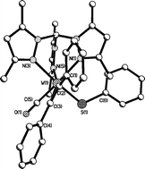 Graphical abstract: Thiolates vs. halides as π-donors: the redox-active alkyne complexes [M(SR)L(η-R′C [[triple bond, length as m-dash]] CR′)L′] {M = Mo or W, L = CO or P(OMe)3, L′ = η-C5H5 and Tp′}