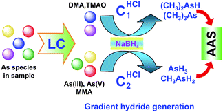 Graphical abstract: Arsenic speciation with gradient hydride generation interfacing liquid chromatography and atomic absorption spectrometry