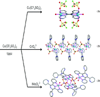 Graphical abstract: Dinuclear, tetranuclear and one-dimensional pyrazine-based copper(ii) complexes: preparation, X-ray structure and magnetic properties