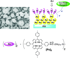 Graphical abstract: Enormous enhancement in photocurrent generation using electrochemically fabricated gold nanostructures