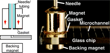 Graphical abstract: Magnetic connectors for microfluidic applications