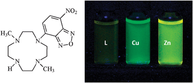 Graphical abstract: A new versatile solvatochromic amino-macrocycle. From metal ions to cell sensing in solution and in the solid state