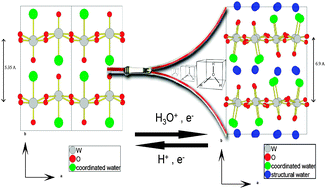 Graphical abstract: Enhanced reversible electrochromism via in situ phase transformation in tungstate monohydrate