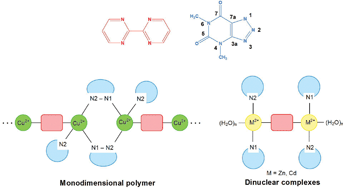 Graphical abstract: Versatile binding behaviour of 4,6-dimethyl-1,2,3-triazolo[4,5-d]-pyrimidin-5,7-dionato in the presence of bipyrimidine. Supramolecular H-bond architectures