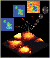 Graphical abstract: Cellular imaging with secondary ion mass spectrometry