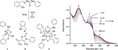 Graphical abstract: Vanadium-induced formation of thiadiazole and thiazoline compounds. Mononuclear and dinuclear oxovanadium(v) complexes with open-chain and cyclized thiosemicarbazone ligands